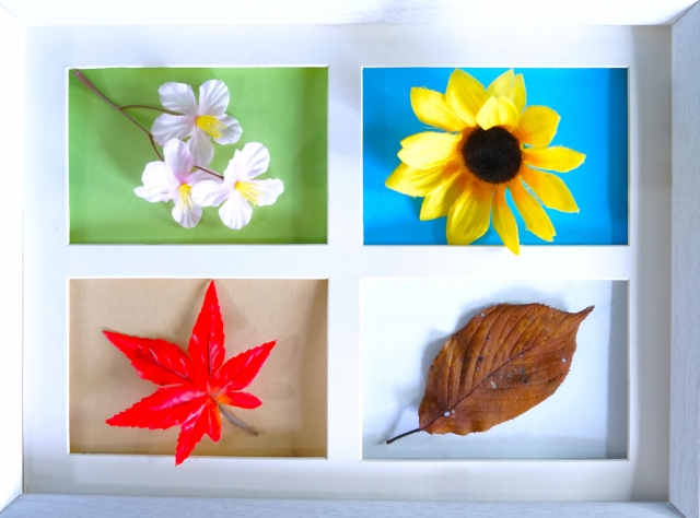 四季・春夏秋冬